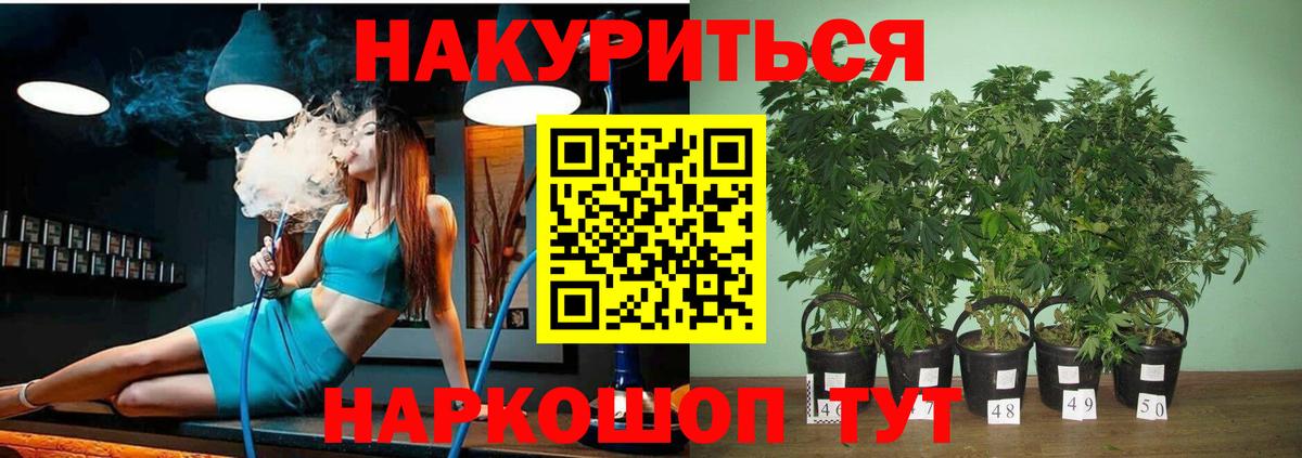 Канабис семена  Канабис Bruce Banner  Десногорск  Вход с VPN 